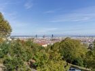Estate Agents Picture 2