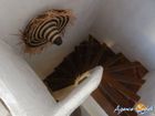 Estate Agents Picture 1