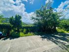 Estate Agents Picture 2
