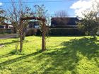 Estate Agents Picture 2