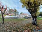 Estate Agents Picture 1