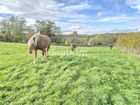 Estate Agents Picture 2
