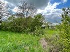 Estate Agents Picture 1