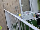 Estate Agents Picture 1