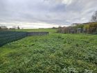 Estate Agents Picture 2