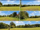 Estate Agents Picture 2