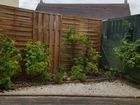 Estate Agents Picture 2