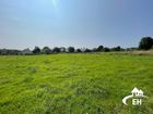 Estate Agents Picture 3