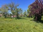 Estate Agents Picture 2
