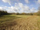Estate Agents Picture 3