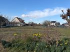 Estate Agents Picture 1