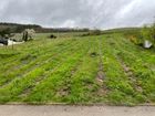 Estate Agents Picture 2