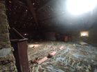 Estate Agents Picture 3