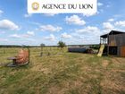 Estate Agents Picture 2
