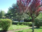 Estate Agents Picture 2