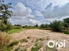 Estate Agents Picture 1