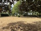 Estate Agents Picture 2