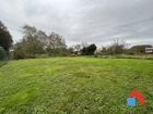 Estate Agents Picture 2