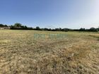 Estate Agents Picture 1