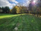 Estate Agents Picture 1