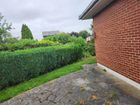 Estate Agents Picture 2