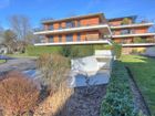 Estate Agents Picture 2