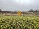 Estate Agents Picture 2