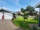 Estate Agents Picture 2
