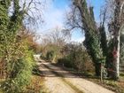 Estate Agents Picture 1