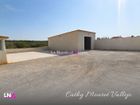 Estate Agents Picture 1