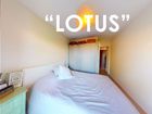 Estate Agents Picture 1