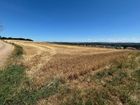 Estate Agents Picture 1