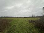 Estate Agents Picture 1