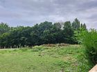Estate Agents Picture 1