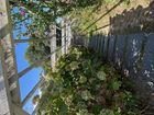 Estate Agents Picture 2