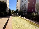 Estate Agents Picture 1