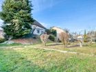 Estate Agents Picture 3