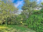 Estate Agents Picture 2