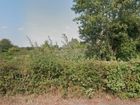 Estate Agents Picture 3