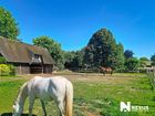 Estate Agents Picture 2