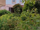 Estate Agents Picture 2