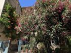 Estate Agents Picture 2