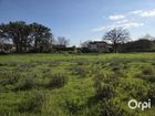 Estate Agents Picture 2