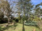 Estate Agents Picture 2