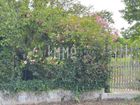 Estate Agents Picture 1