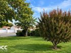 Estate Agents Picture 2