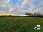 Estate Agents Picture 1