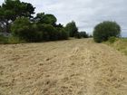 Estate Agents Picture 2