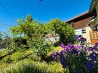 Estate Agents Picture 1