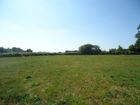 Estate Agents Picture 3